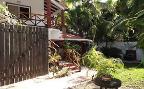 Nido Del Quetzal