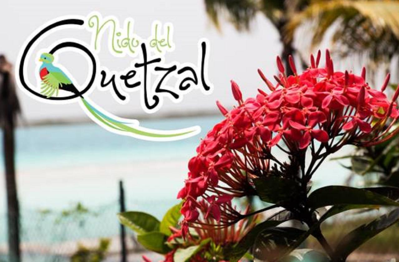 Nido Del Quetzal Bacalar Exterior photo